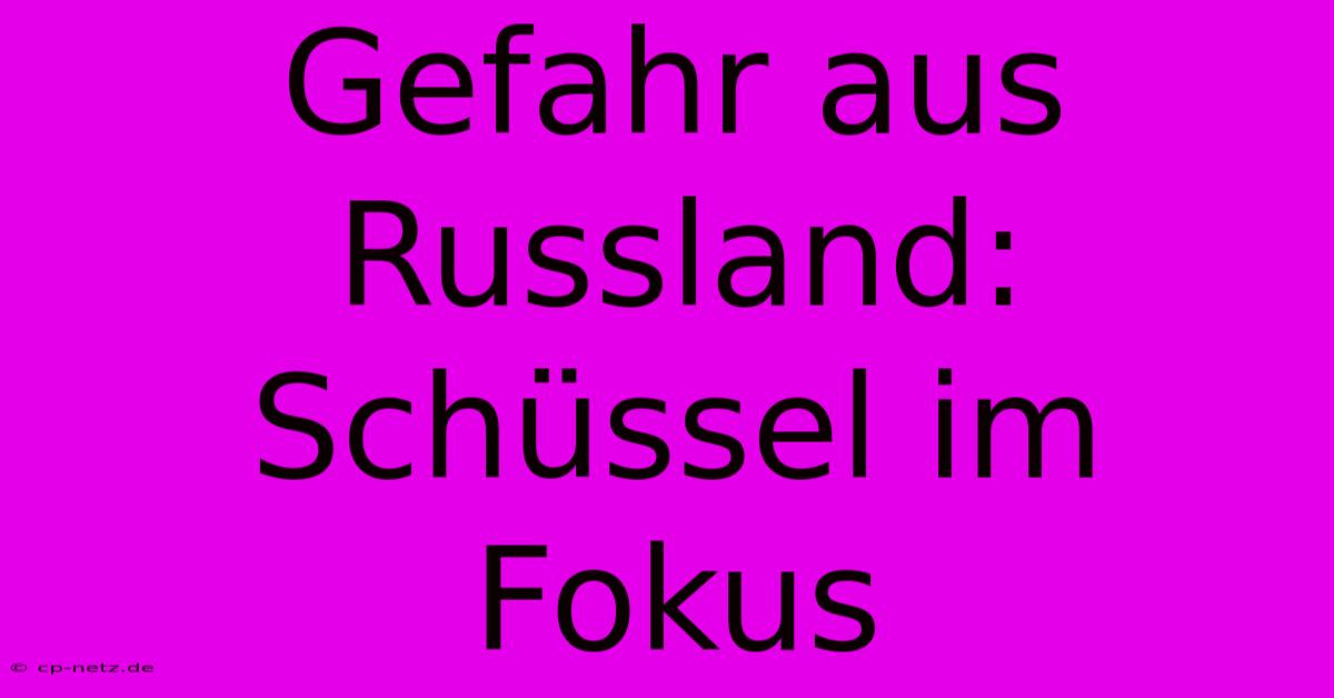 Gefahr Aus Russland: Schüssel Im Fokus