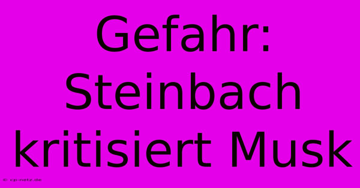 Gefahr: Steinbach Kritisiert Musk