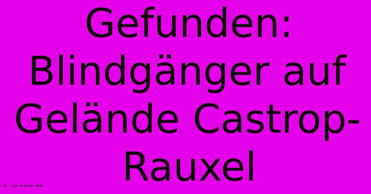 Gefunden: Blindgänger Auf Gelände Castrop-Rauxel