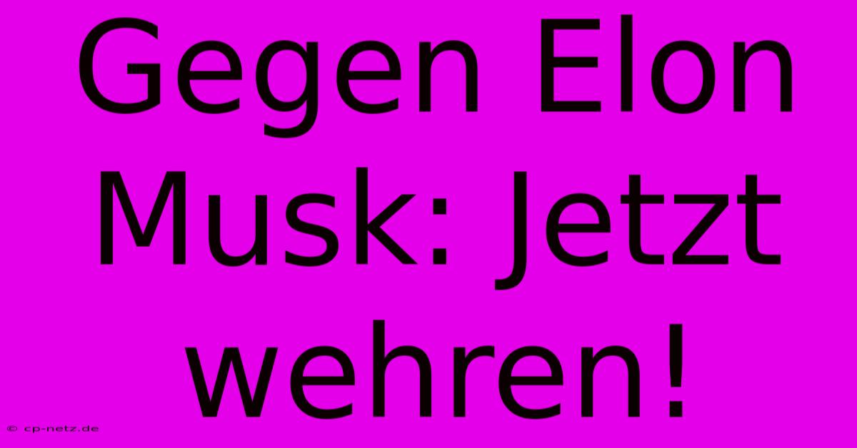 Gegen Elon Musk: Jetzt Wehren!