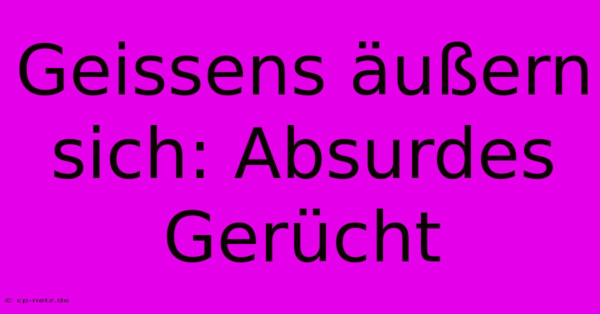 Geissens Äußern Sich: Absurdes Gerücht