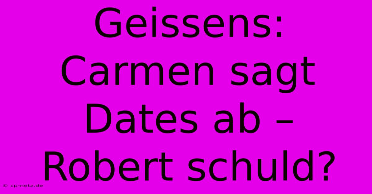 Geissens: Carmen Sagt Dates Ab – Robert Schuld?