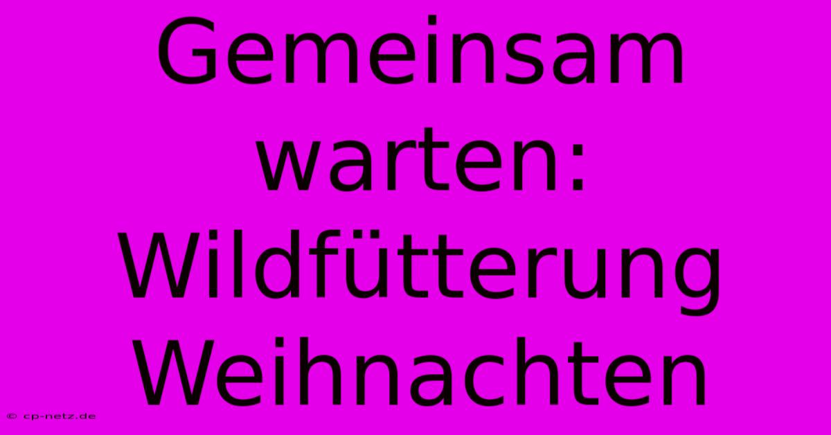 Gemeinsam Warten: Wildfütterung Weihnachten