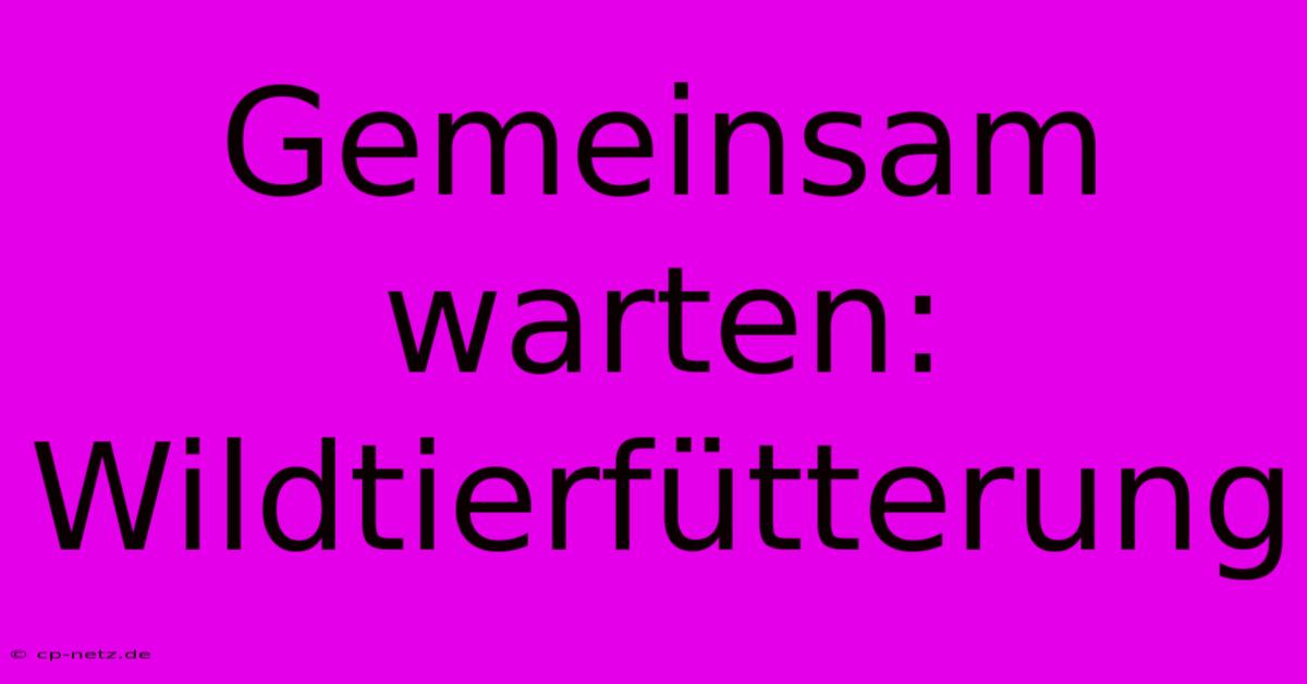 Gemeinsam Warten: Wildtierfütterung