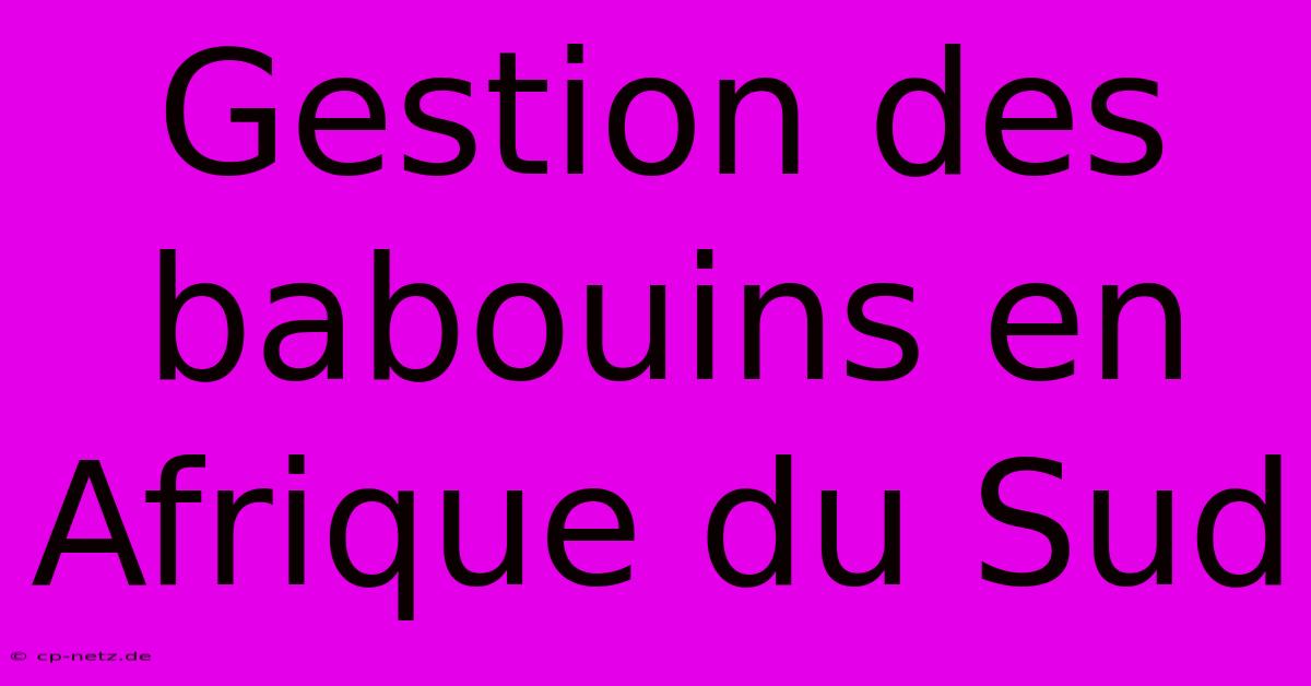 Gestion Des Babouins En Afrique Du Sud