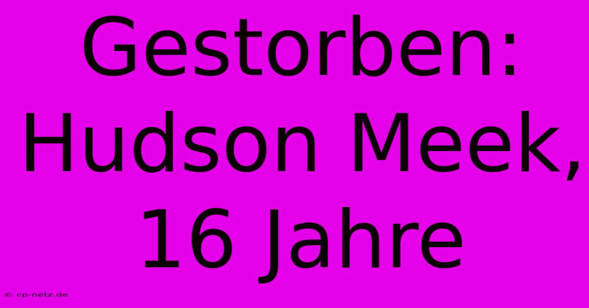 Gestorben: Hudson Meek, 16 Jahre