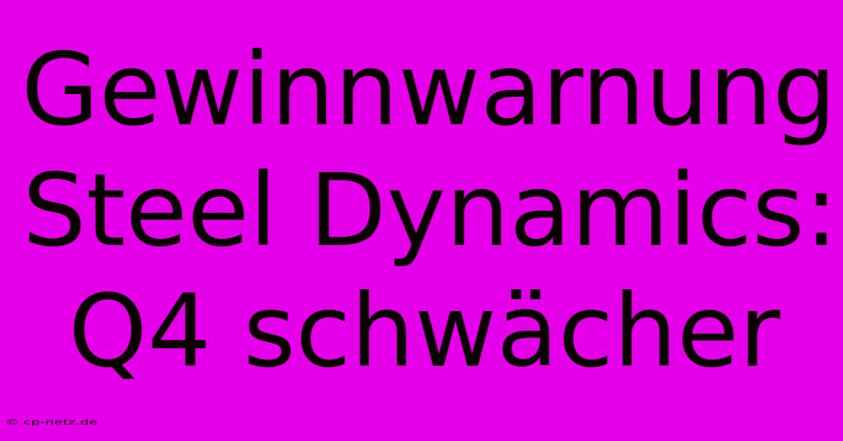 Gewinnwarnung Steel Dynamics: Q4 Schwächer