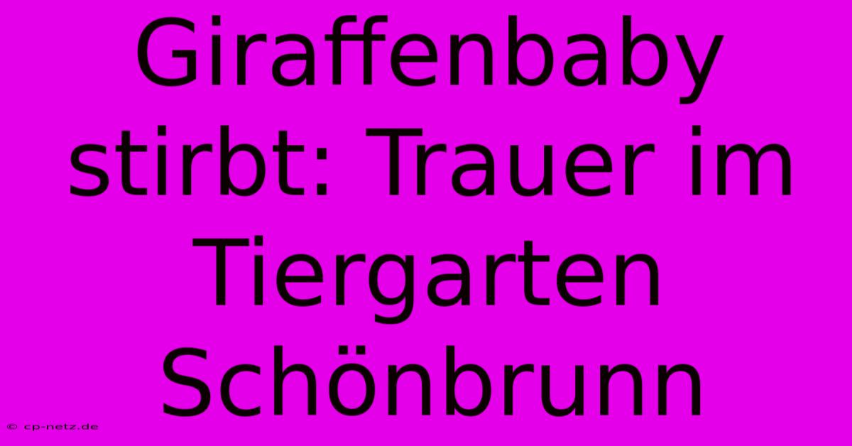 Giraffenbaby Stirbt: Trauer Im Tiergarten Schönbrunn