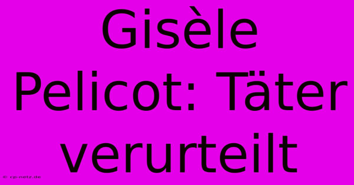 Gisèle Pelicot: Täter Verurteilt