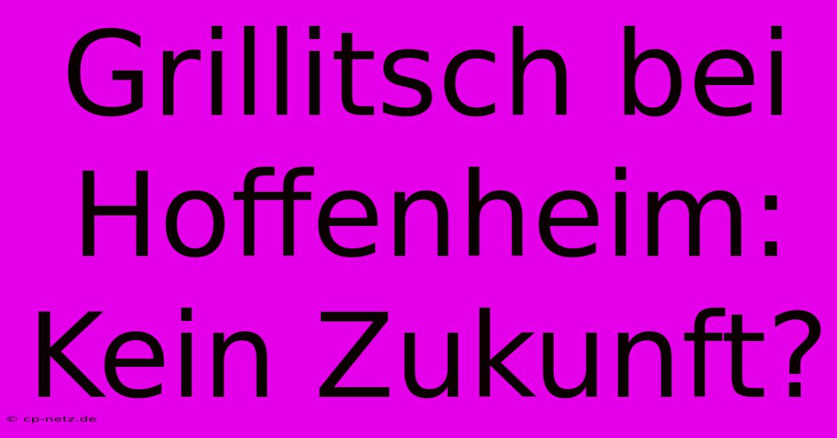 Grillitsch Bei Hoffenheim: Kein Zukunft?