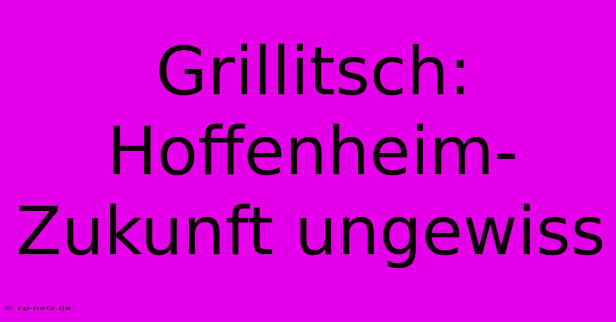 Grillitsch: Hoffenheim-Zukunft Ungewiss