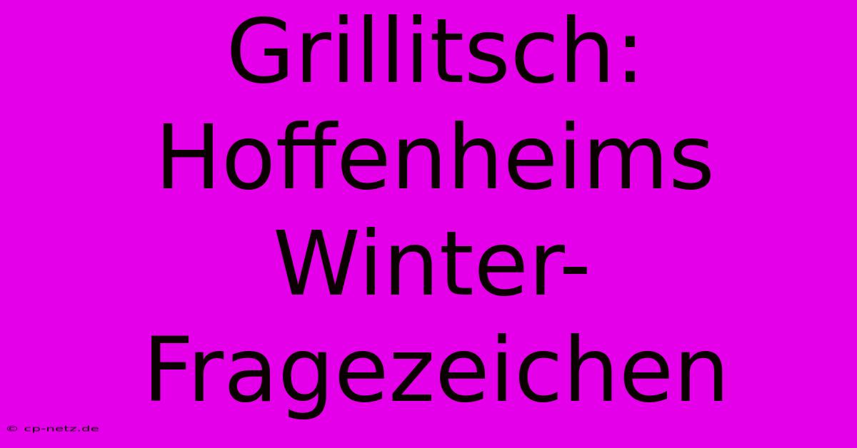 Grillitsch: Hoffenheims Winter-Fragezeichen