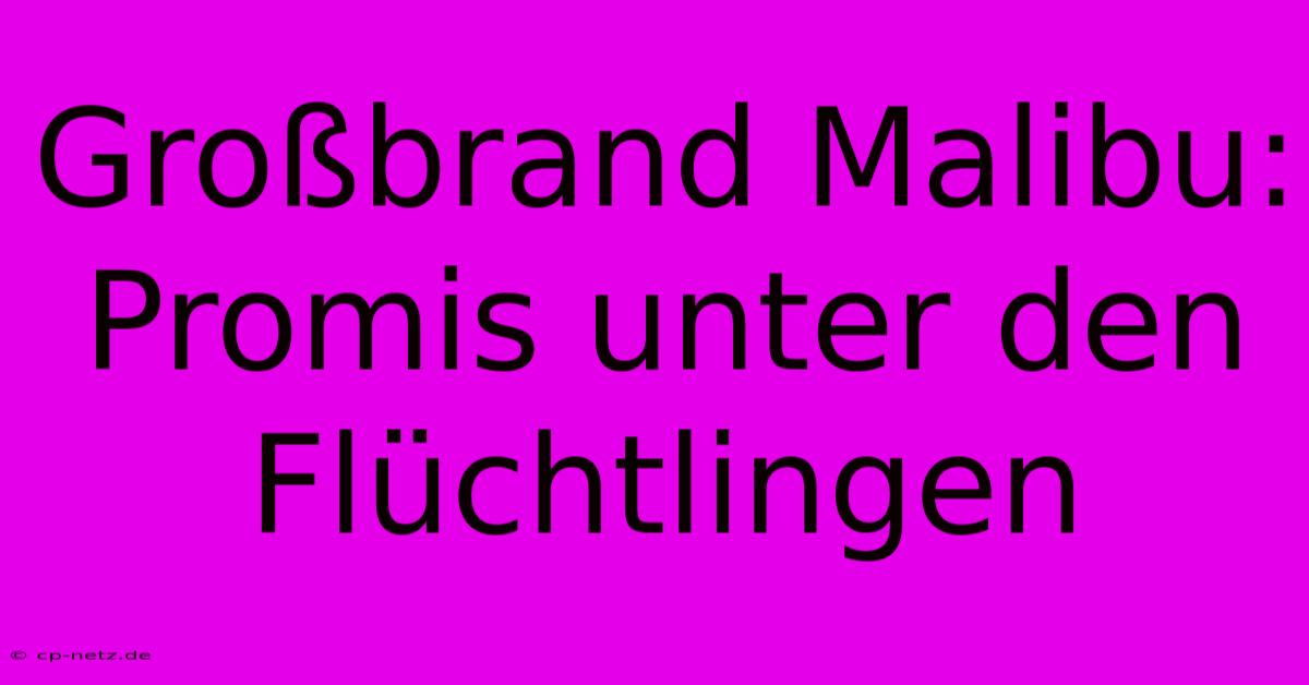 Großbrand Malibu: Promis Unter Den Flüchtlingen