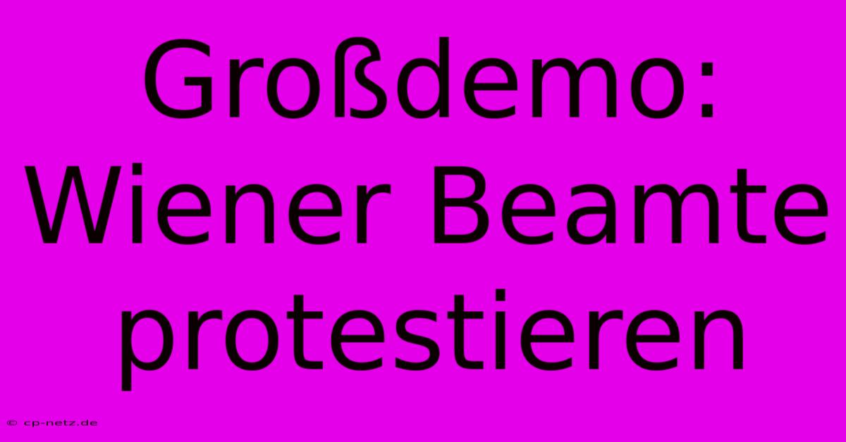 Großdemo: Wiener Beamte Protestieren