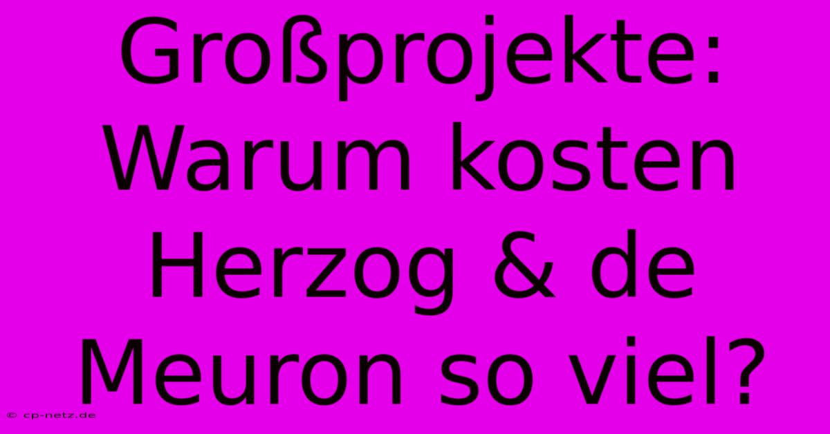 Großprojekte: Warum Kosten Herzog & De Meuron So Viel?