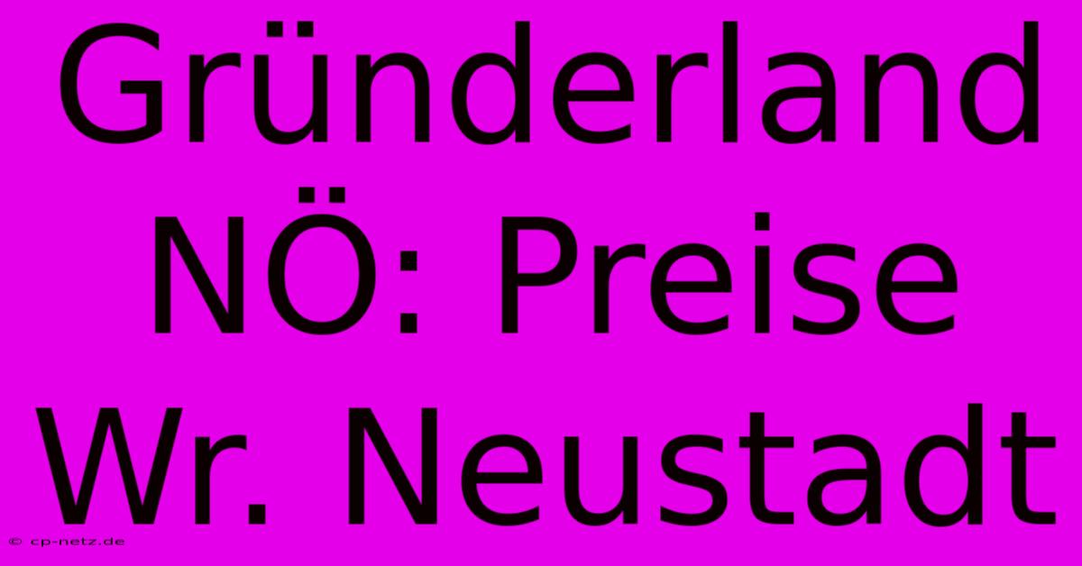 Gründerland NÖ: Preise Wr. Neustadt