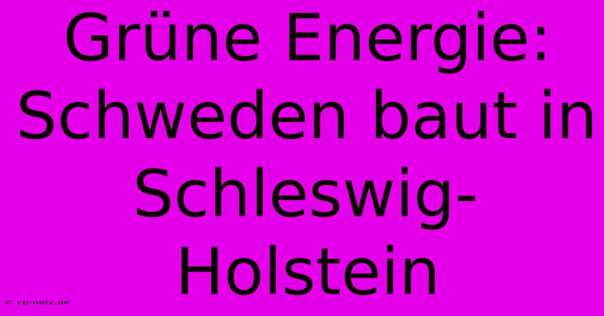 Grüne Energie: Schweden Baut In Schleswig-Holstein