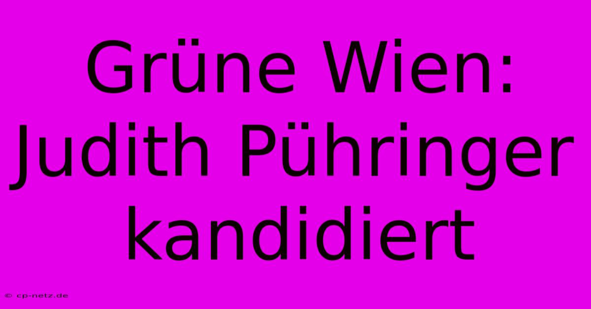 Grüne Wien: Judith Pühringer Kandidiert