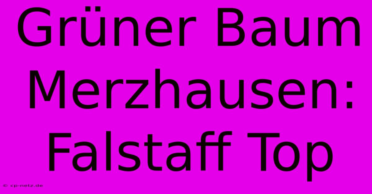 Grüner Baum Merzhausen: Falstaff Top