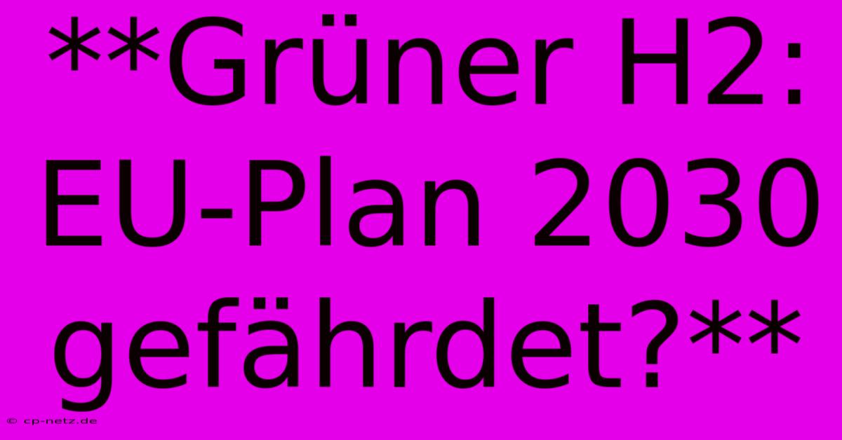 **Grüner H2: EU-Plan 2030 Gefährdet?**