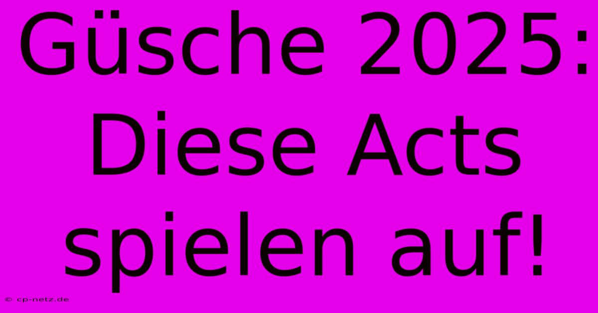 Güsche 2025: Diese Acts Spielen Auf!