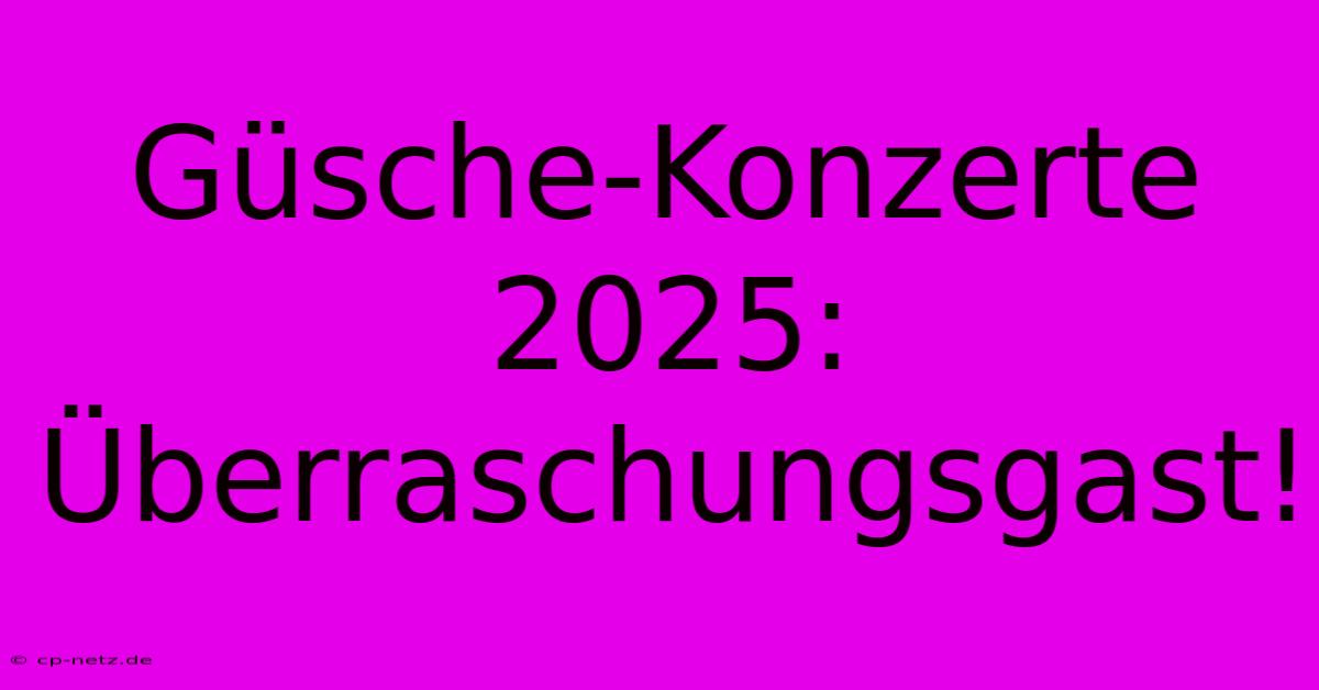 Güsche-Konzerte 2025: Überraschungsgast!