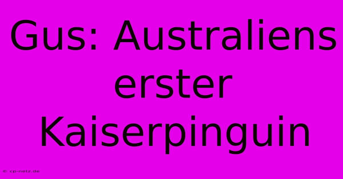 Gus: Australiens Erster Kaiserpinguin