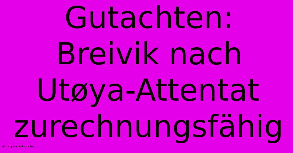 Gutachten: Breivik Nach Utøya-Attentat Zurechnungsfähig