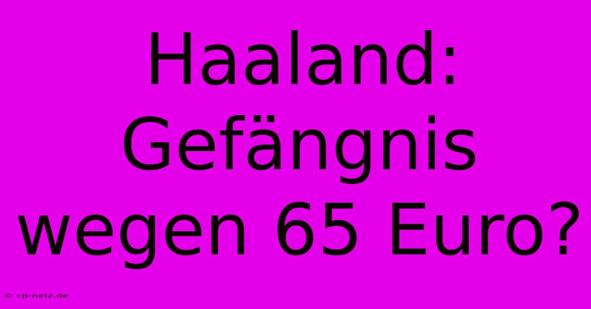 Haaland: Gefängnis Wegen 65 Euro?