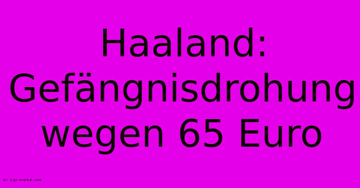 Haaland: Gefängnisdrohung Wegen 65 Euro