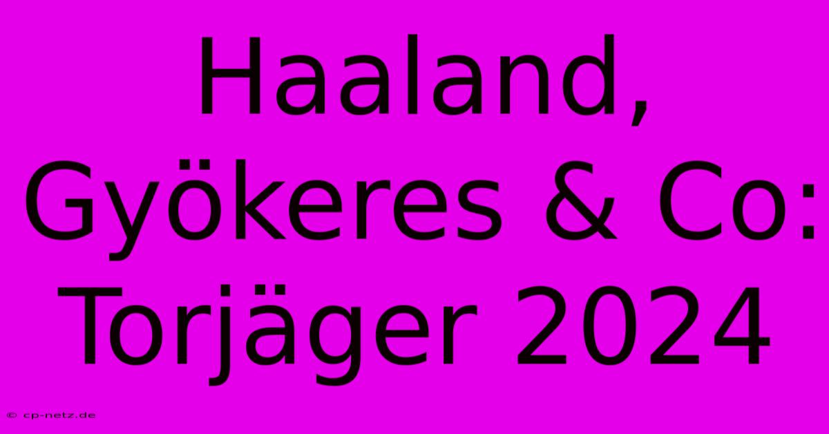 Haaland, Gyökeres & Co: Torjäger 2024