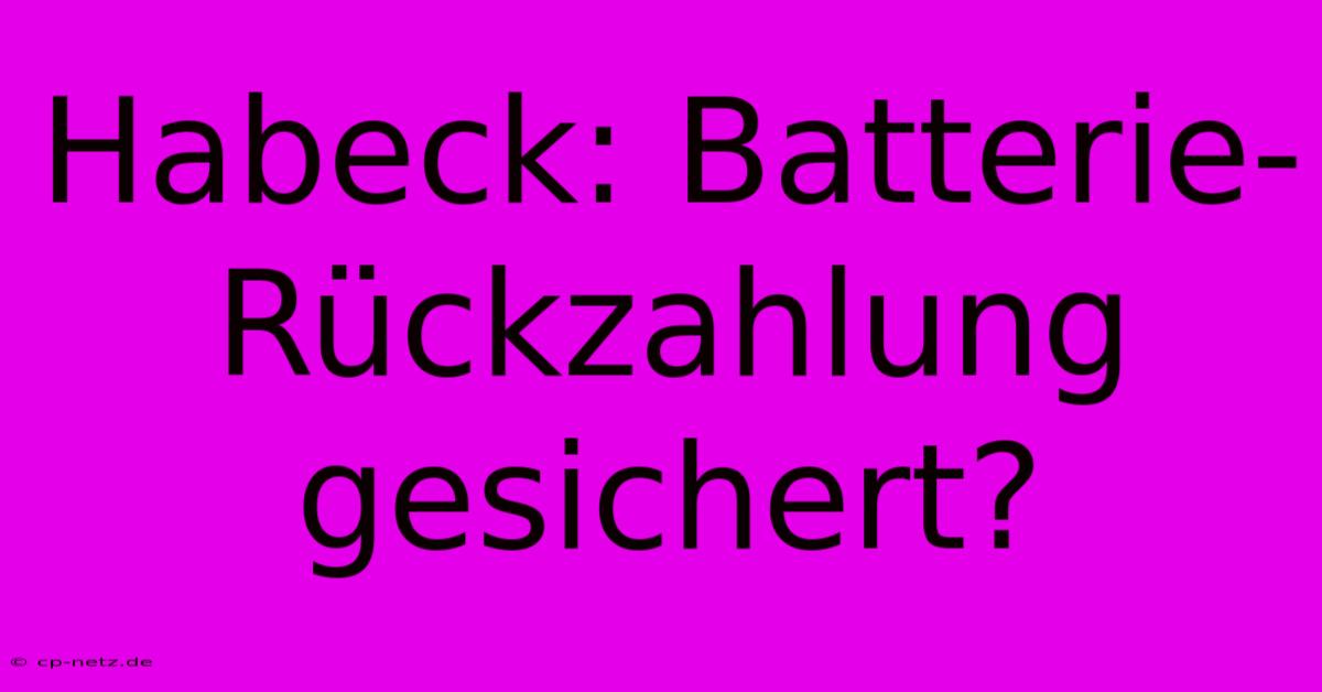 Habeck: Batterie-Rückzahlung  Gesichert?