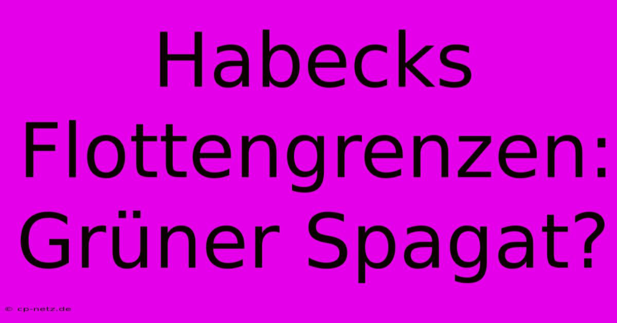 Habecks Flottengrenzen: Grüner Spagat?