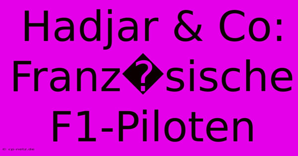 Hadjar & Co: Franz�sische F1-Piloten