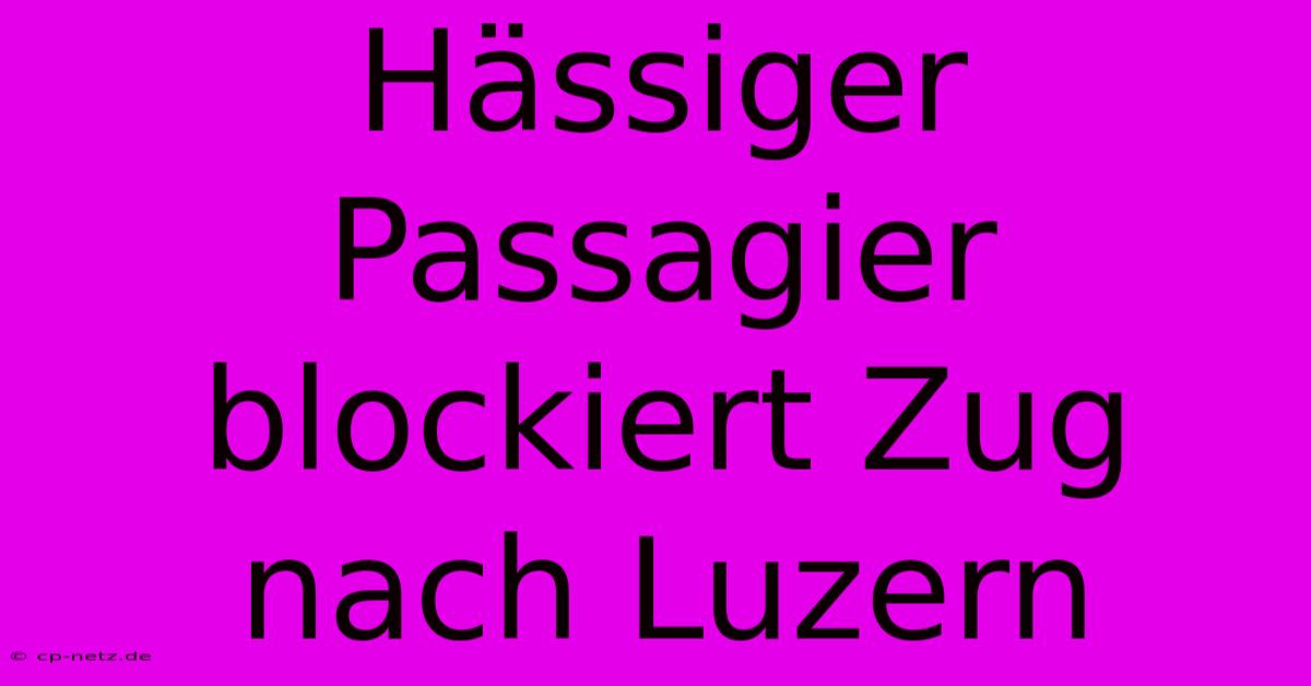 Hässiger Passagier Blockiert Zug Nach Luzern