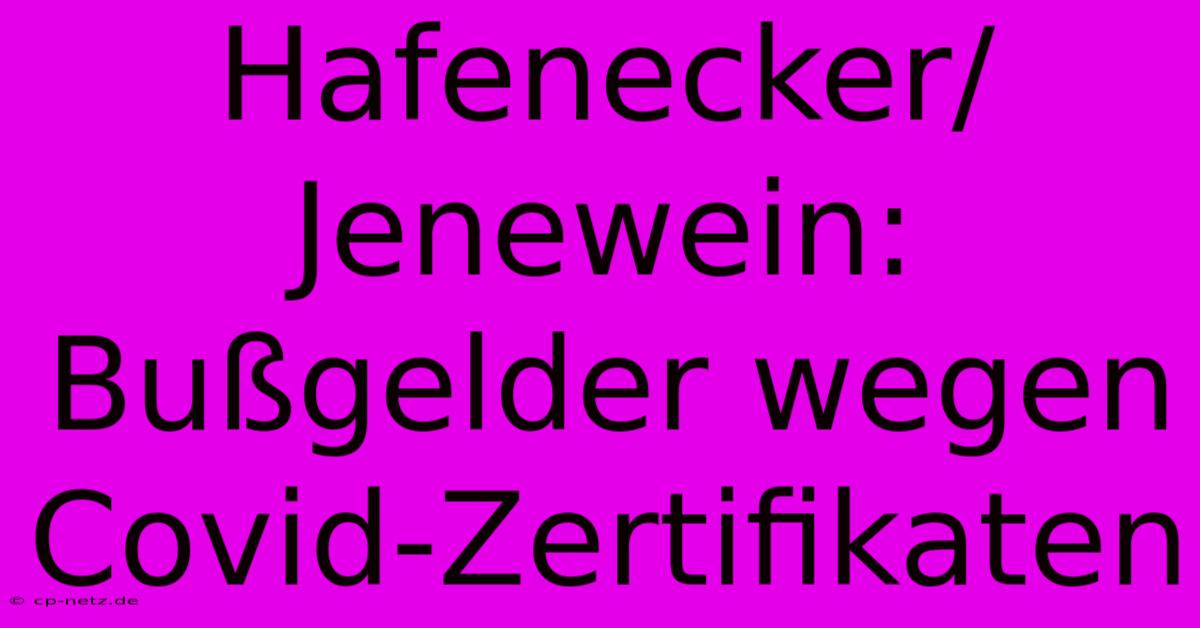 Hafenecker/Jenewein: Bußgelder Wegen Covid-Zertifikaten