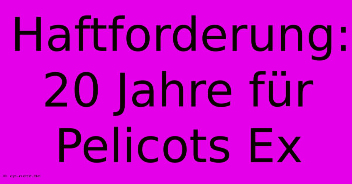 Haftforderung: 20 Jahre Für Pelicots Ex