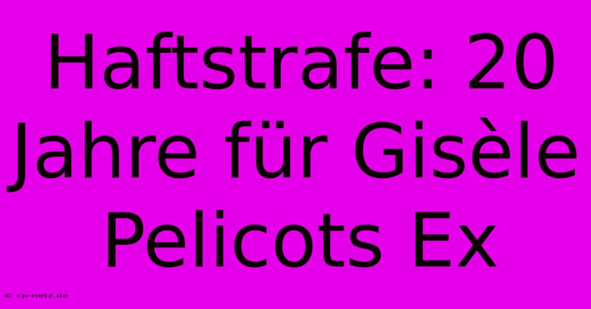 Haftstrafe: 20 Jahre Für Gisèle Pelicots Ex