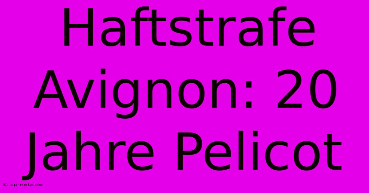 Haftstrafe Avignon: 20 Jahre Pelicot