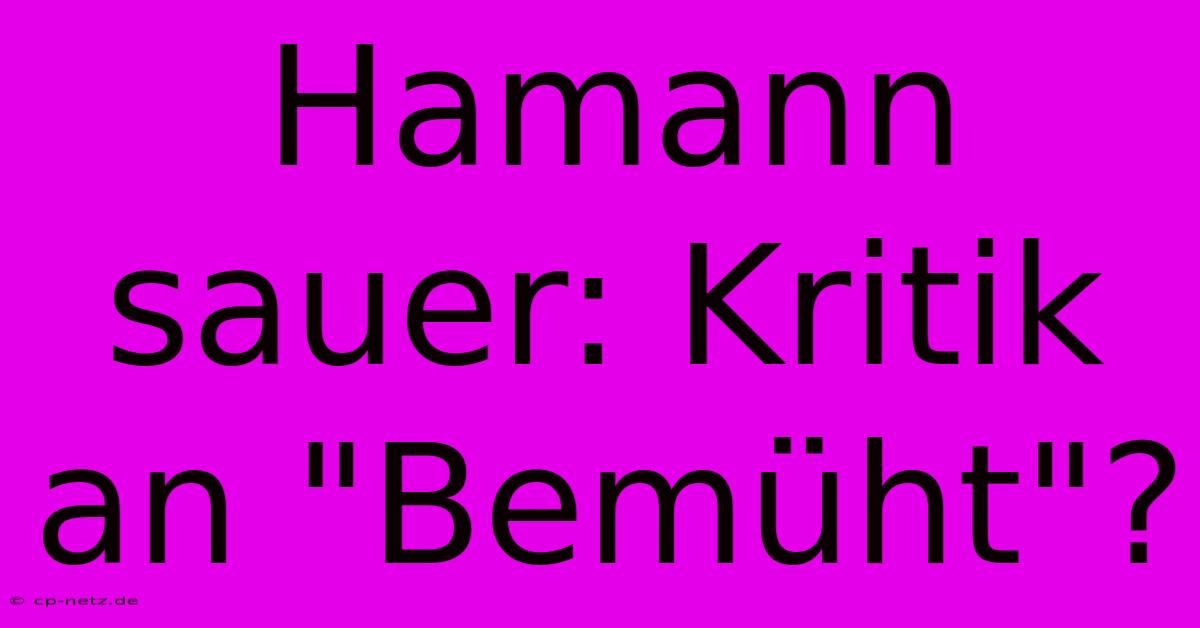 Hamann Sauer: Kritik An 