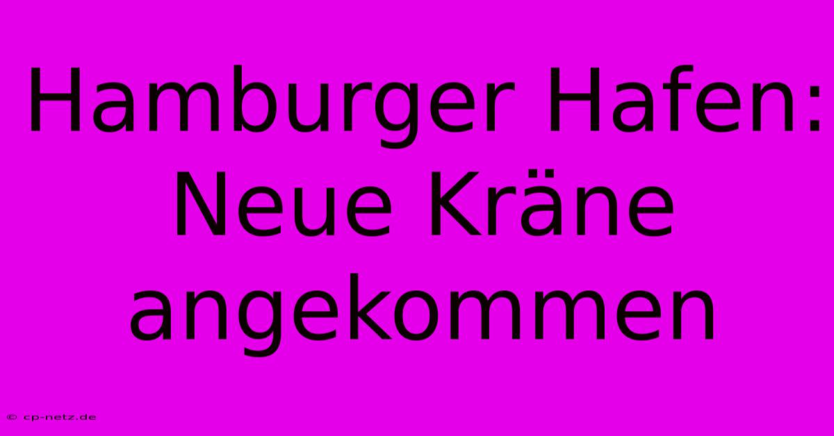 Hamburger Hafen: Neue Kräne Angekommen