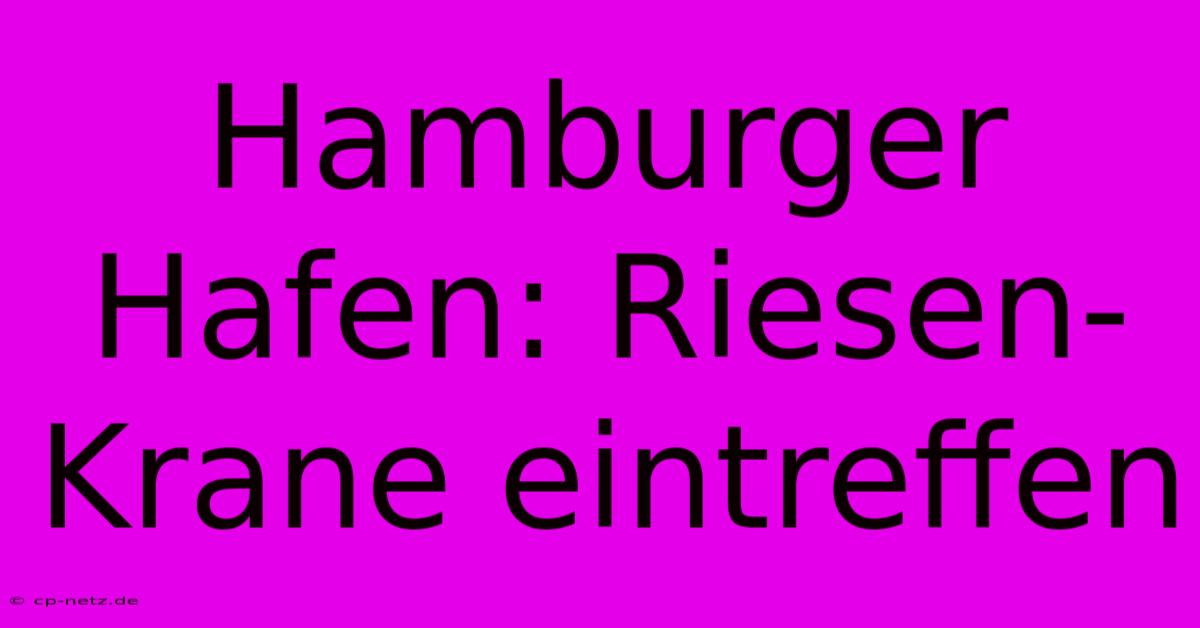 Hamburger Hafen: Riesen-Krane Eintreffen