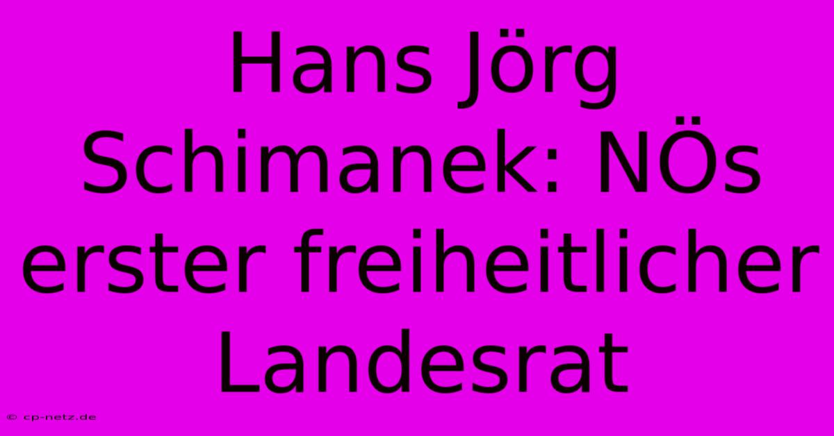 Hans Jörg Schimanek: NÖs Erster Freiheitlicher Landesrat