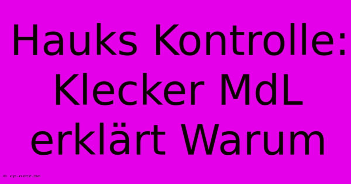 Hauks Kontrolle: Klecker MdL Erklärt Warum