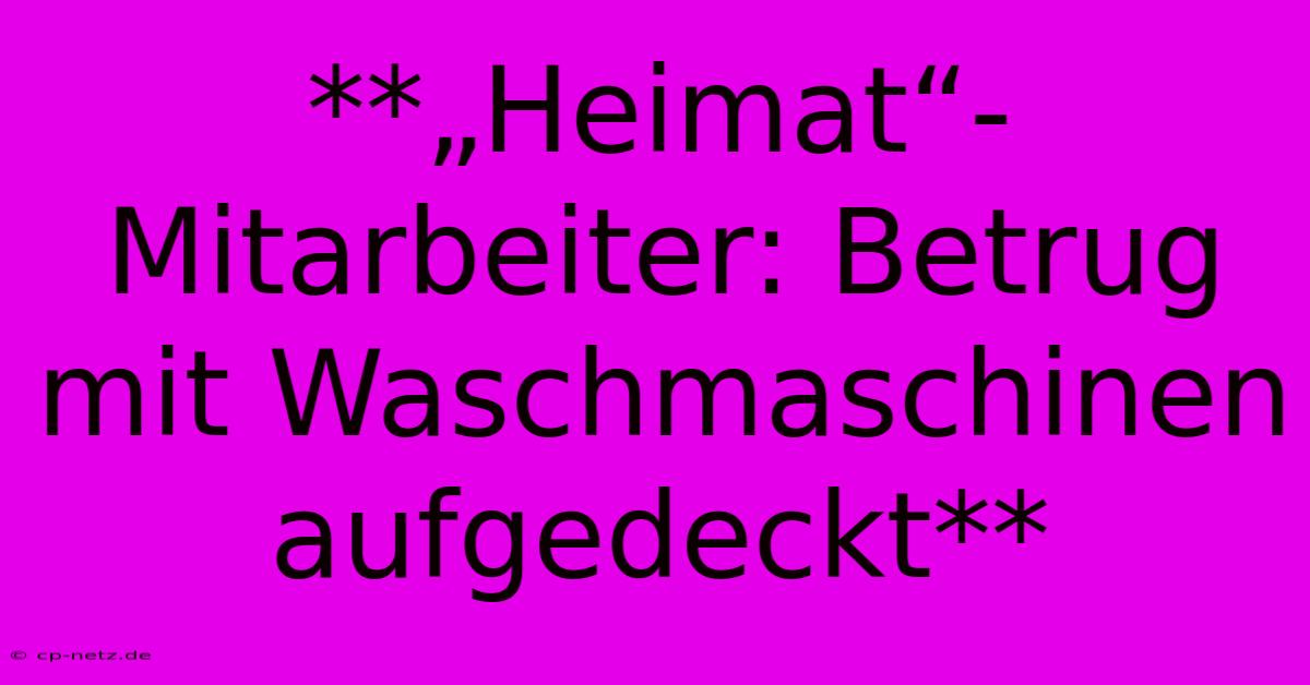 **„Heimat“-Mitarbeiter: Betrug Mit Waschmaschinen Aufgedeckt**