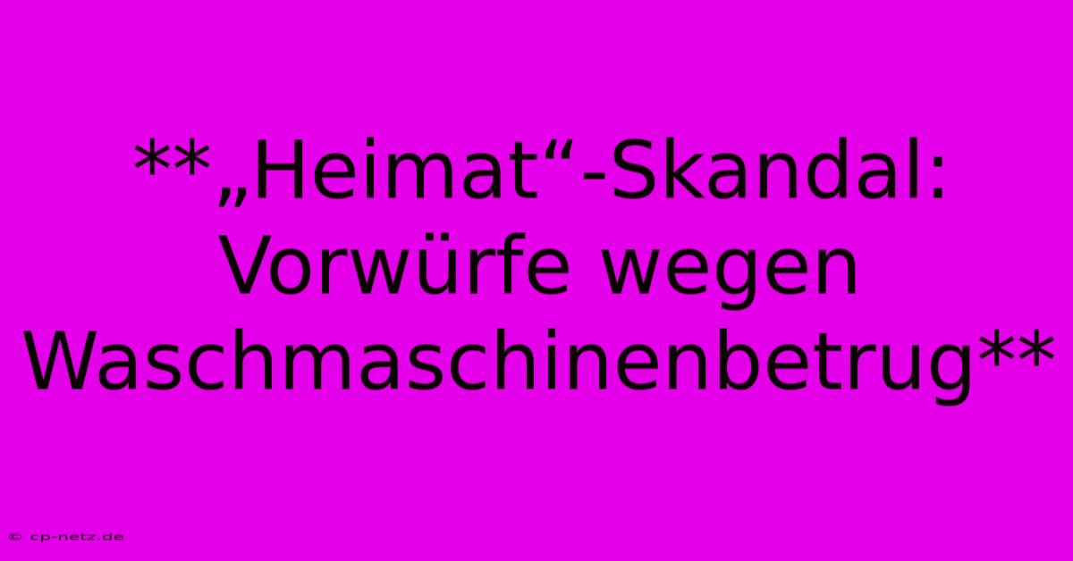 **„Heimat“-Skandal: Vorwürfe Wegen Waschmaschinenbetrug**