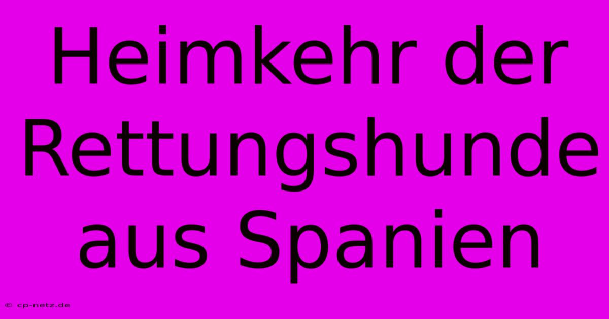 Heimkehr Der Rettungshunde Aus Spanien