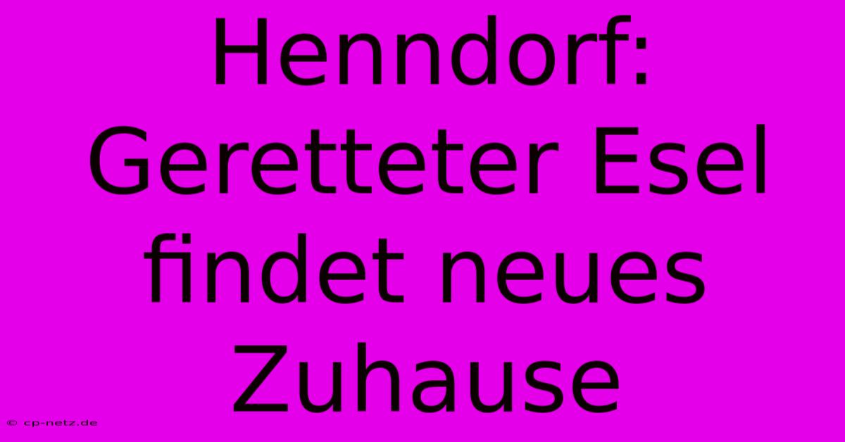 Henndorf: Geretteter Esel Findet Neues Zuhause