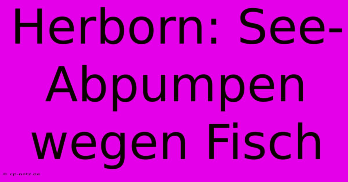 Herborn: See-Abpumpen Wegen Fisch