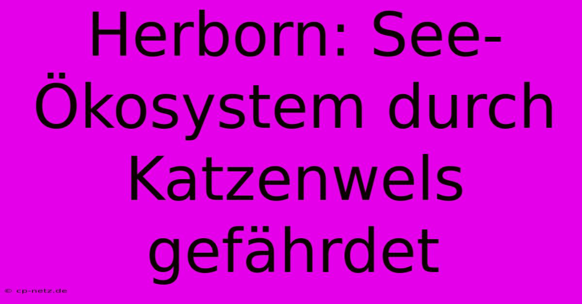 Herborn: See-Ökosystem Durch Katzenwels Gefährdet